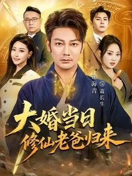 大婚当日修仙老爸归来