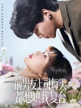 前男友上司每天都想哄我复合