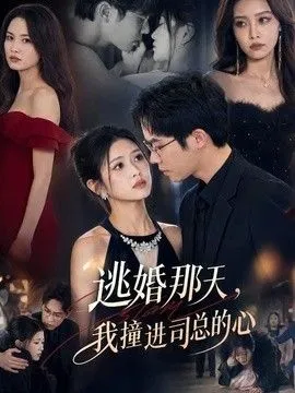 逃婚那天，我撞进司总的心